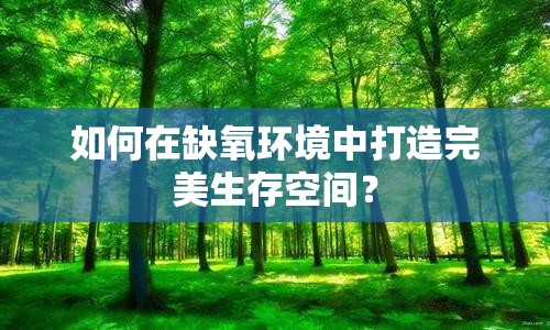 如何在缺氧環(huán)境中打造完美生存空間？