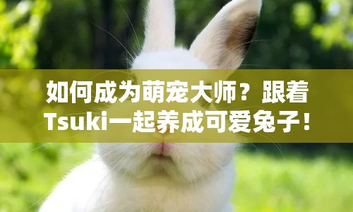 如何成為萌寵大師？跟著Tsuki一起養(yǎng)成可愛兔子！