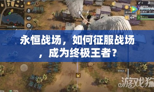 永恒戰(zhàn)場，如何征服戰(zhàn)場，成為終極王者？
