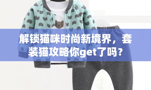 解鎖貓咪時(shí)尚新境界，套裝貓攻略你get了嗎？