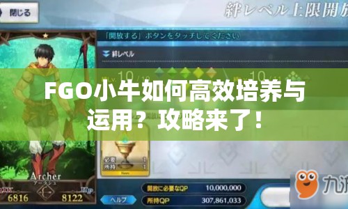 FGO小牛如何高效培養(yǎng)與運(yùn)用？攻略來了！