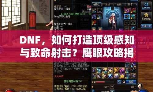DNF，如何打造頂級(jí)感知與致命射擊？鷹眼攻略揭秘！