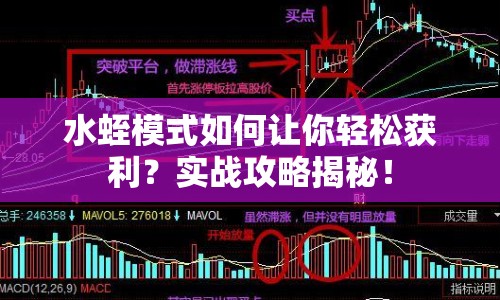 水蛭模式如何讓你輕松獲利？實戰(zhàn)攻略揭秘！
