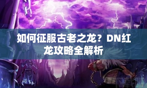 如何征服古老之龍？DN紅龍攻略全解析