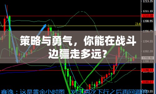 策略與勇氣，你能在戰(zhàn)斗邊疆走多遠？