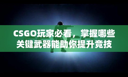 CSGO玩家必看，掌握哪些關(guān)鍵武器能助你提升競技水平？