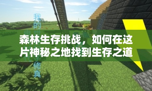 森林生存挑戰(zhàn)，如何在這片神秘之地找到生存之道？