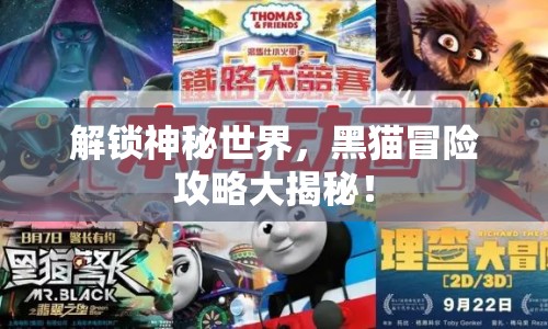 解鎖神秘世界，黑貓冒險(xiǎn)攻略大揭秘！