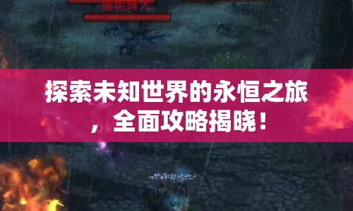探索未知世界的永恒之旅，全面攻略揭曉！