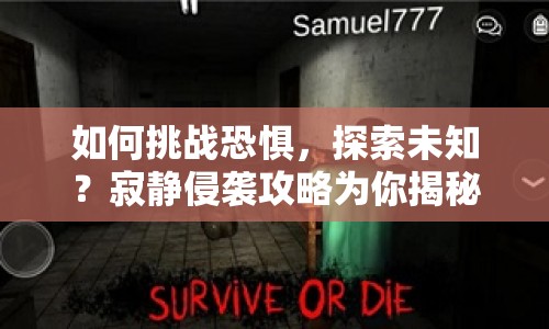 如何挑戰(zhàn)恐懼，探索未知？寂靜侵襲攻略為你揭秘！