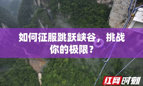 如何征服跳躍峽谷，挑戰(zhàn)你的極限？