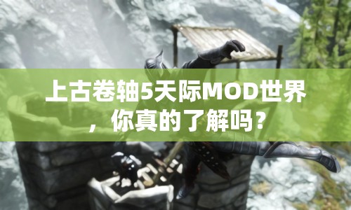 上古卷軸5天際MOD世界，你真的了解嗎？
