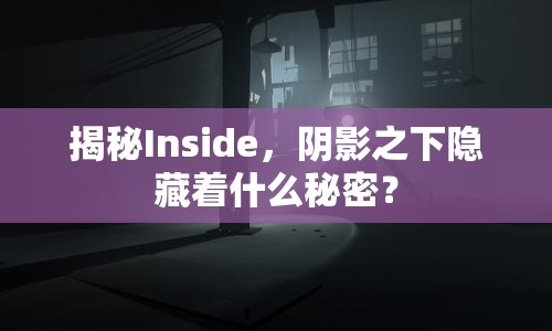 揭秘Inside，陰影之下隱藏著什么秘密？