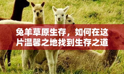 兔羊草原生存，如何在這片溫馨之地找到生存之道？