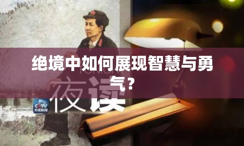 絕境中如何展現(xiàn)智慧與勇氣？