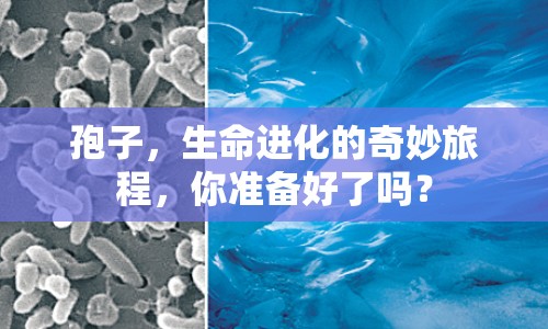 孢子，生命進(jìn)化的奇妙旅程，你準(zhǔn)備好了嗎？