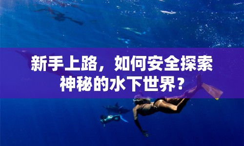 新手上路，如何安全探索神秘的水下世界？
