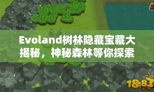 Evoland樹林隱藏寶藏大揭秘，神秘森林等你探索！