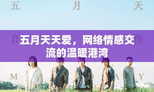 五月天天愛(ài)，網(wǎng)絡(luò)情感交流的溫暖港灣