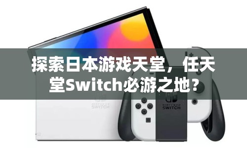 探索日本游戲天堂，任天堂Switch必游之地？