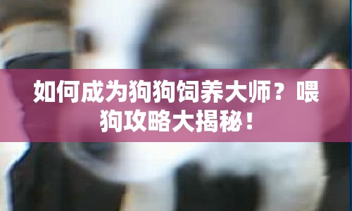 如何成為狗狗飼養(yǎng)大師？喂狗攻略大揭秘！