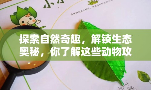 探索自然奇趣，解鎖生態(tài)奧秘，你了解這些動物攻略嗎？