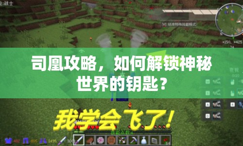 司凰攻略，如何解鎖神秘世界的鑰匙？