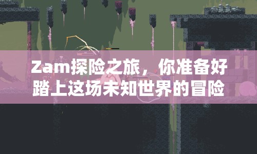 Zam探險(xiǎn)之旅，你準(zhǔn)備好踏上這場(chǎng)未知世界的冒險(xiǎn)了嗎？