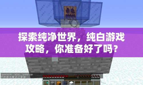 探索純凈世界，純白游戲攻略，你準(zhǔn)備好了嗎？