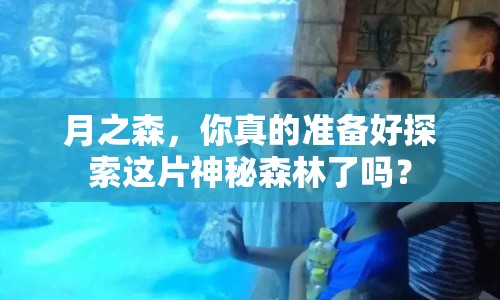 月之森，你真的準備好探索這片神秘森林了嗎？