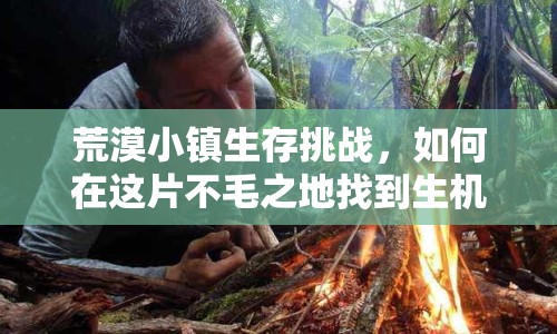 荒漠小鎮(zhèn)生存挑戰(zhàn)，如何在這片不毛之地找到生機(jī)？