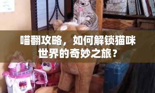 喵翻攻略，如何解鎖貓咪世界的奇妙之旅？