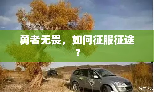 勇者無畏，如何征服征途？
