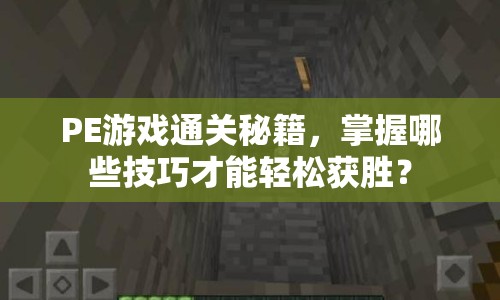 PE游戲通關(guān)秘籍，掌握哪些技巧才能輕松獲勝？