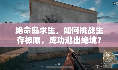 絕命島求生，如何挑戰(zhàn)生存極限，成功逃出絕境？