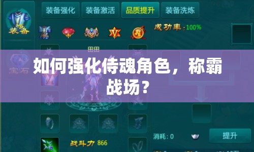 如何強化侍魂角色，稱霸戰(zhàn)場？