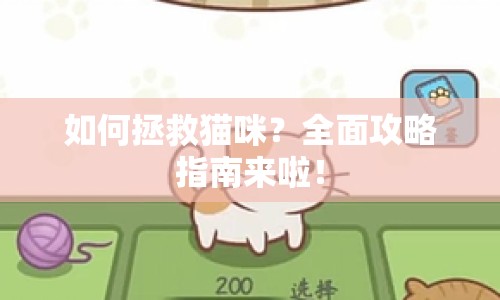 如何拯救貓咪？全面攻略指南來(lái)啦！