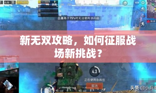 新無雙攻略，如何征服戰(zhàn)場新挑戰(zhàn)？