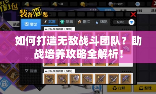 如何打造無敵戰(zhàn)斗團(tuán)隊(duì)？助戰(zhàn)培養(yǎng)攻略全解析！