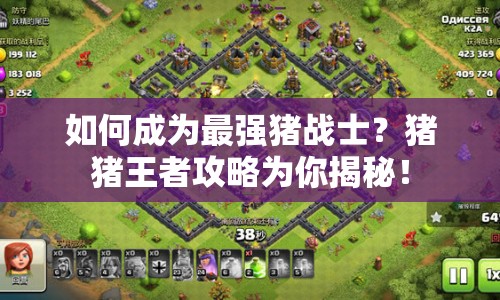 如何成為最強豬戰(zhàn)士？豬豬王者攻略為你揭秘！