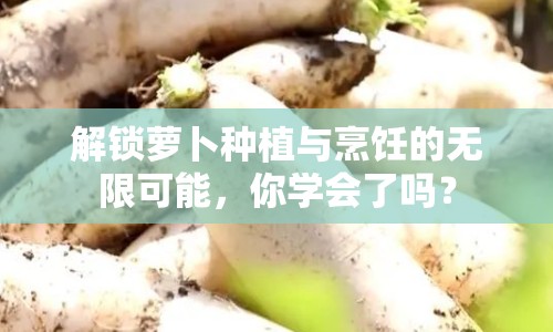 解鎖蘿卜種植與烹飪的無限可能，你學(xué)會(huì)了嗎？
