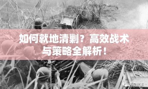 如何就地清剿？高效戰(zhàn)術與策略全解析！