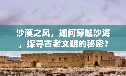 沙漠之風(fēng)，如何穿越沙海，探尋古老文明的秘密？