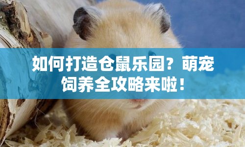 如何打造倉鼠樂園？萌寵飼養(yǎng)全攻略來啦！