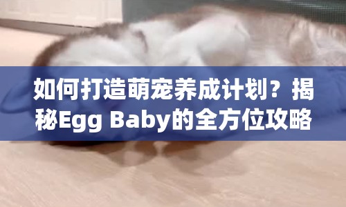 如何打造萌寵養(yǎng)成計(jì)劃？揭秘Egg Baby的全方位攻略！