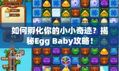 如何孵化你的小小奇跡？揭秘Egg Baby攻略！