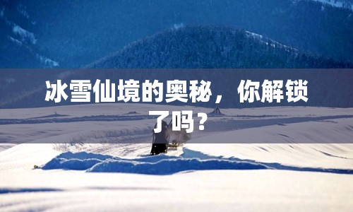 冰雪仙境的奧秘，你解鎖了嗎？