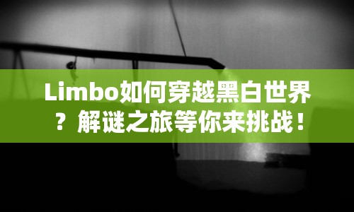 Limbo如何穿越黑白世界？解謎之旅等你來挑戰(zhàn)！