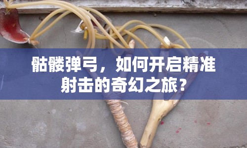 骷髏彈弓，如何開啟精準(zhǔn)射擊的奇幻之旅？