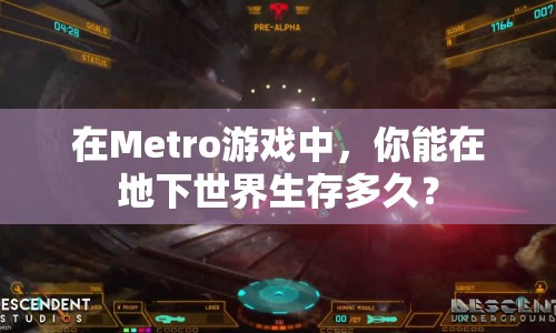 在Metro游戲中，你能在地下世界生存多久？